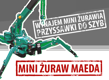 Mini Żuraw wynajem